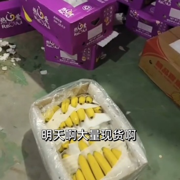 进口香蕉
