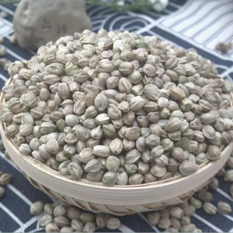 批发大麻子