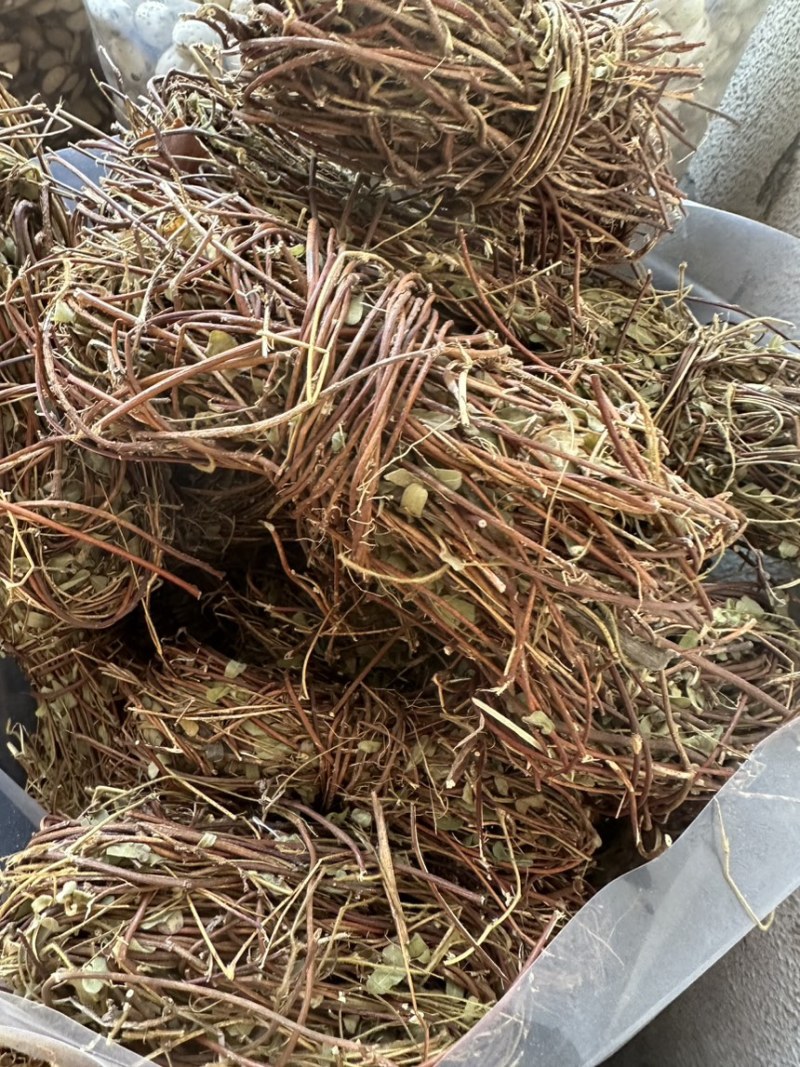 鸡骨草批发优质鸡骨草产地一手货源量大价优