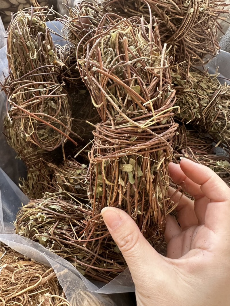 鸡骨草批发优质鸡骨草产地一手货源量大价优