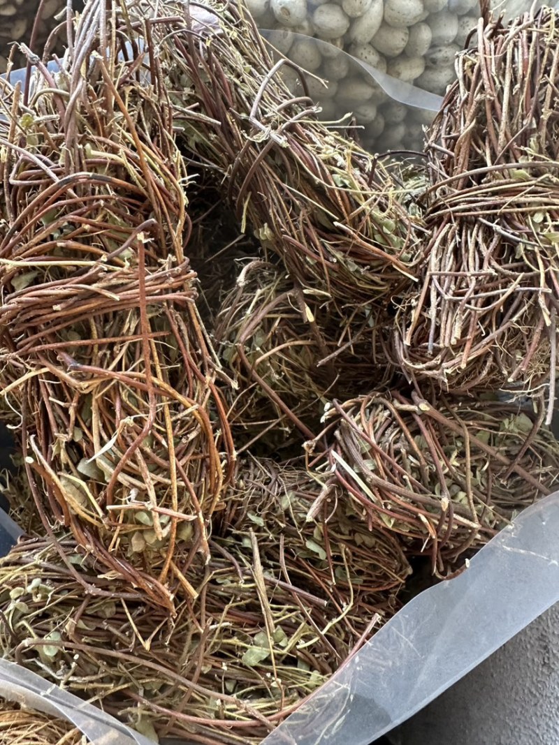 鸡骨草批发优质鸡骨草产地一手货源量大价优