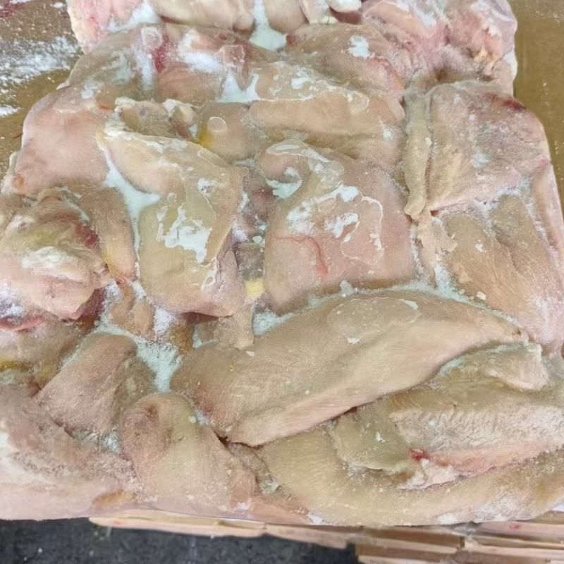 种鸡大胸