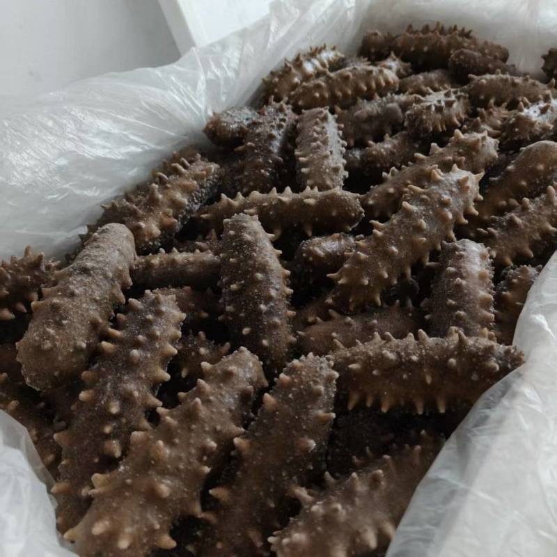 野生底播海参，营养丰富，质量很好，开袋即食需要的老板咨询