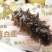 野生底播海参，营养丰富，质量很好，开袋即食需要的老板咨询
