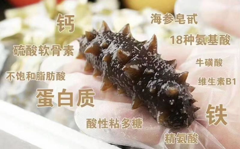 野生底播海参，营养丰富，质量很好，开袋即食需要的老板咨询
