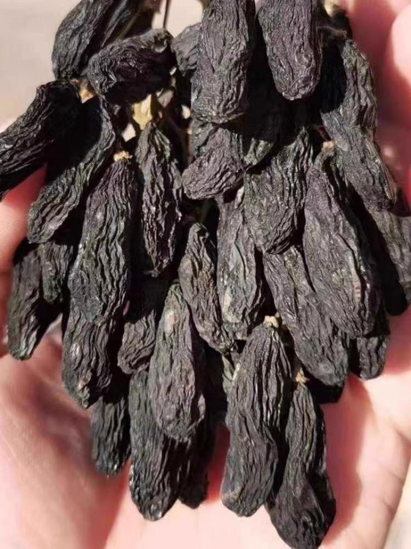 新疆黑美人葡萄干，产地发货，价格优惠，长期合作