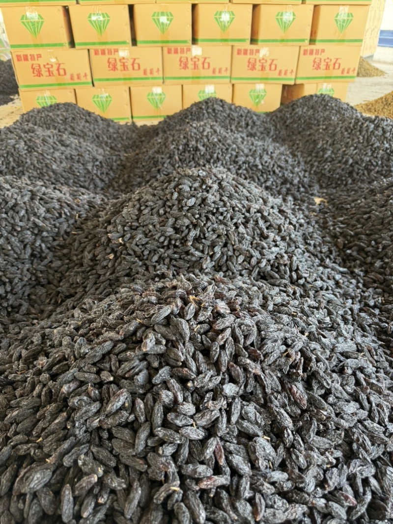 新疆黑美人葡萄干，产地发货，价格优惠，长期合作