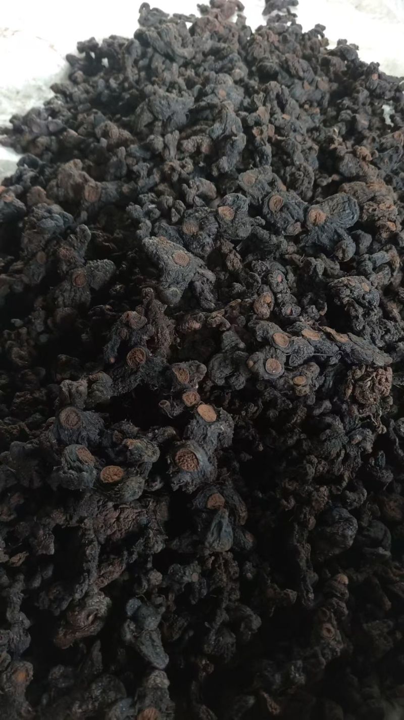 巴马九蒸九晒黄精
