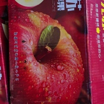 新疆阿克苏