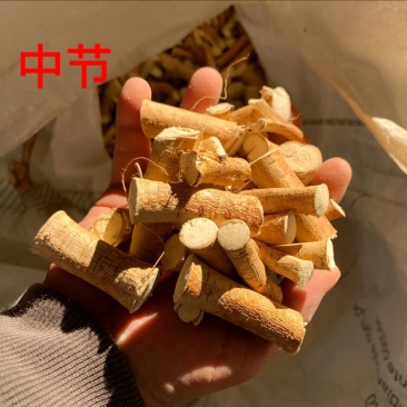 高山五指毛桃中段，足干无硫，香味浓郁