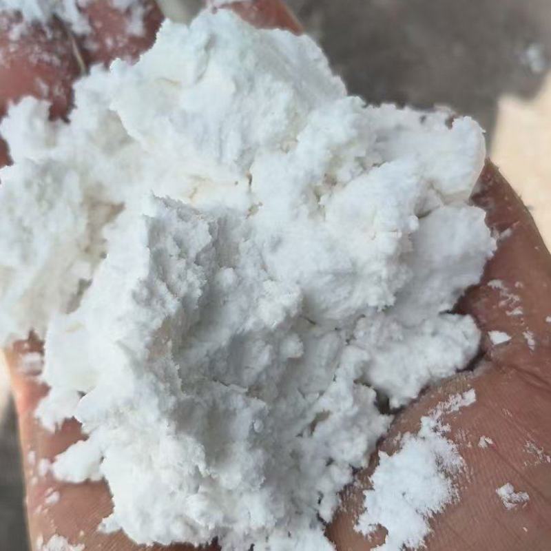 芭蕉芋淀粉量大从优价格可谈支持视频看货欢迎咨询
