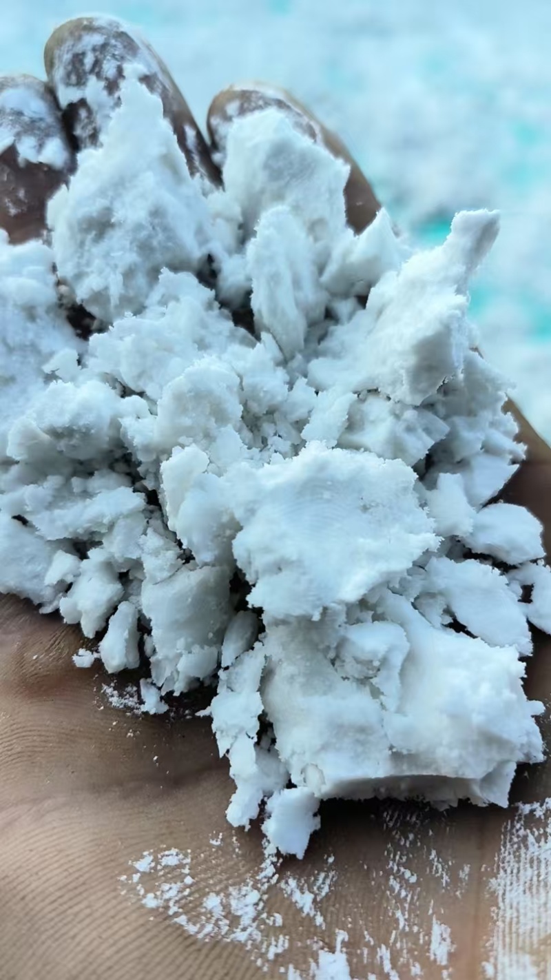 芭蕉芋淀粉量大从优价格可谈支持视频看货欢迎咨询