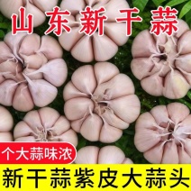【包邮】山东紫皮大蒜头整箱新干蒜蒜头紫白皮新鲜大蒜头