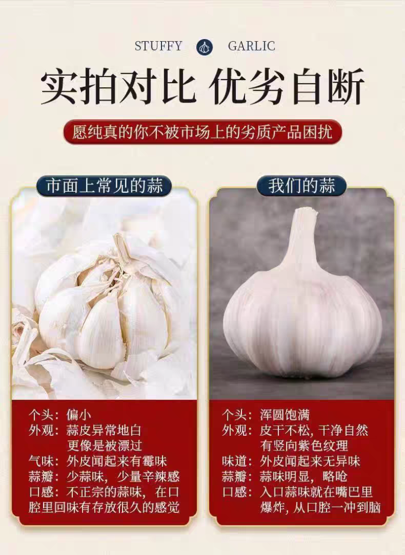【包邮】山东紫皮大蒜头整箱新干蒜蒜头紫白皮新鲜大蒜头