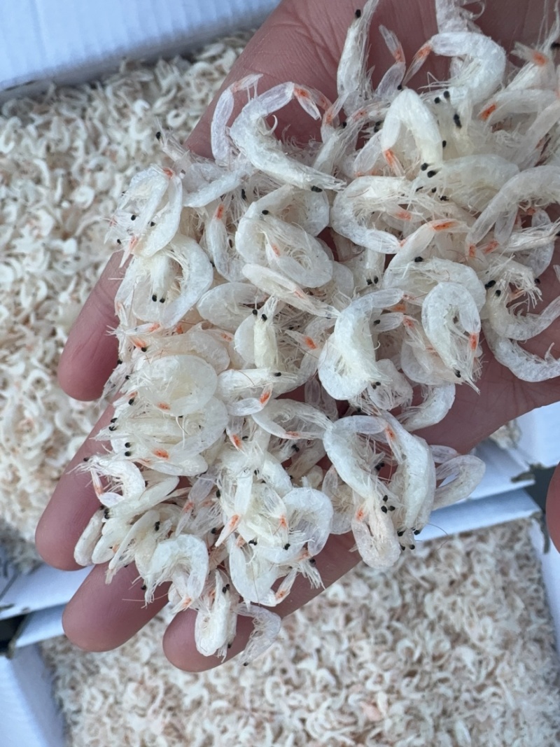 淡干无盐大虾皮，片大，肉多，新货