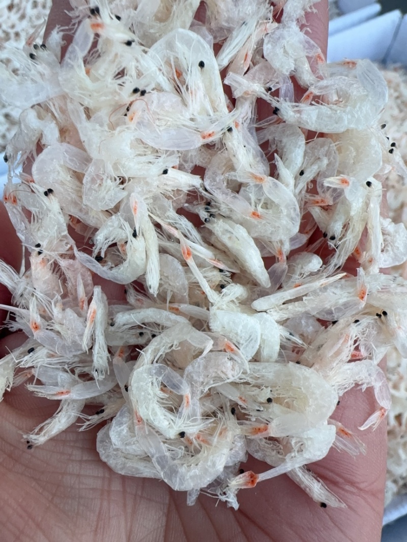淡干无盐大虾皮，片大，肉多，新货