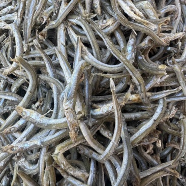 银针鱼，瘦条，价格便宜，颜色好，干度好