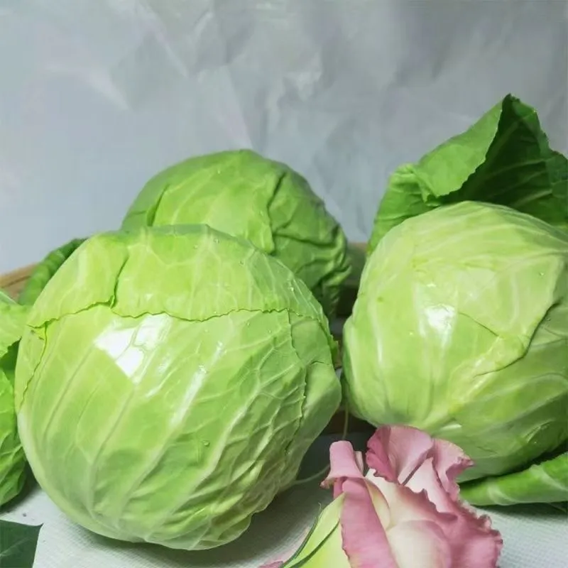 圆甘蓝/圆包菜/产地直发/对接市场档口/量大从优/