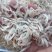 淡干无盐虾皮，新货，一点也不咸，干度好。