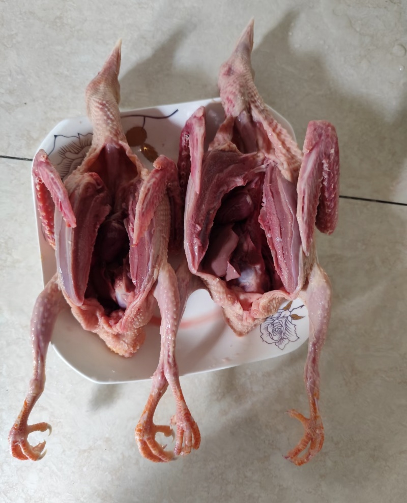 【现杀乳鸽肉】河南鸽子肉/新鲜乳鸽肉/白条鸽子/批发价大甩卖