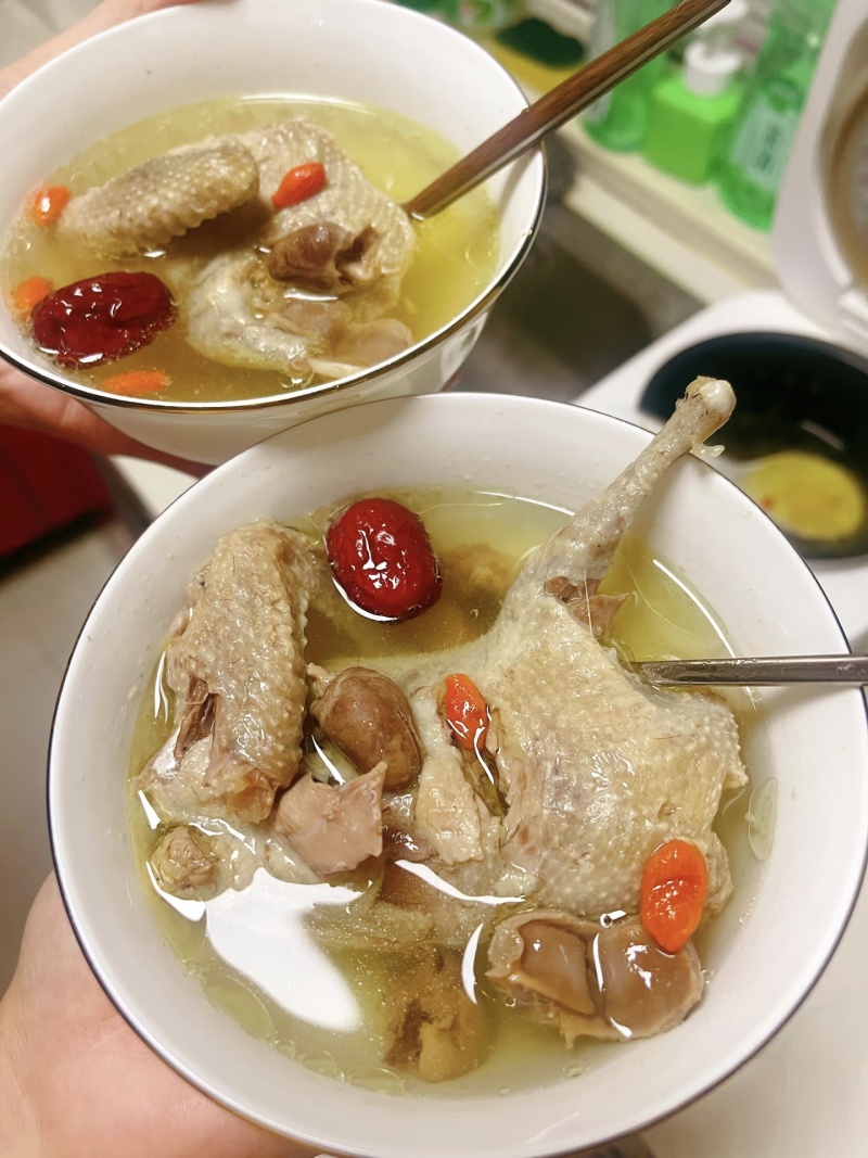 【现杀乳鸽肉】河南鸽子肉/新鲜乳鸽肉/白条鸽子/批发价大甩卖
