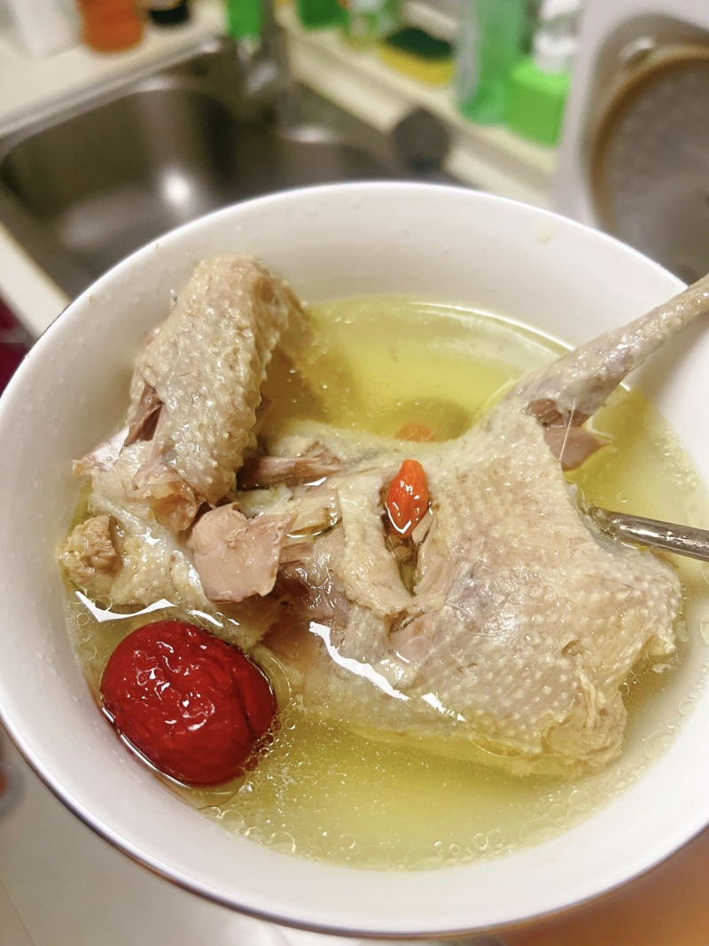 【现杀乳鸽肉】河南鸽子肉/新鲜乳鸽肉/白条鸽子/批发价大甩卖