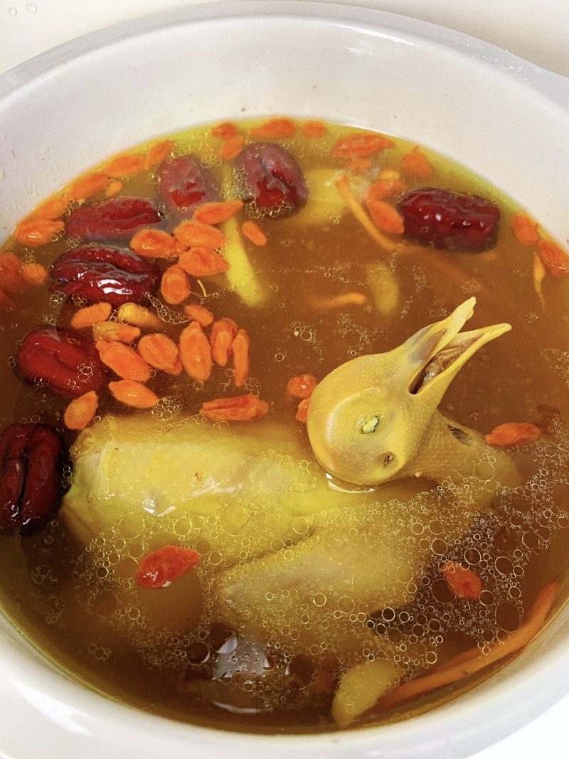 【现杀乳鸽肉】河南鸽子肉/新鲜乳鸽肉/白条鸽子/批发价大甩卖