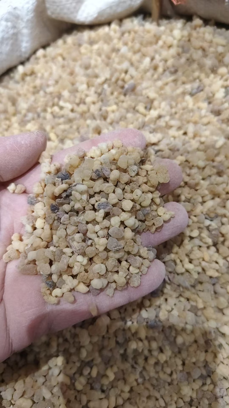 中药材乳香，各种各样的规格都有现货大货需要的老板可以下单