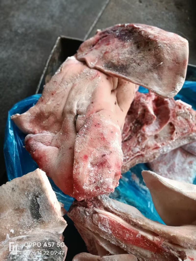 母猪二级带耳头抄码袋装新货手续原始。二级原因黑皮带毛。