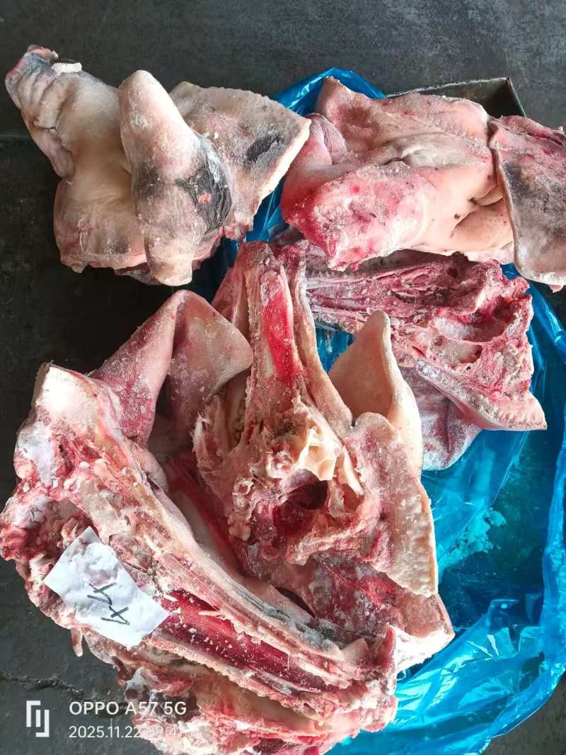 母猪二级带耳头抄码袋装新货手续原始。二级原因黑皮带毛。
