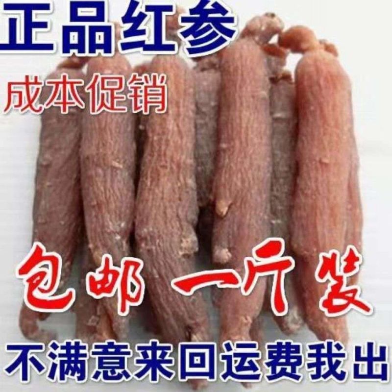 长白山野生红参个东北正宗吉林生晒参大红参高丽参