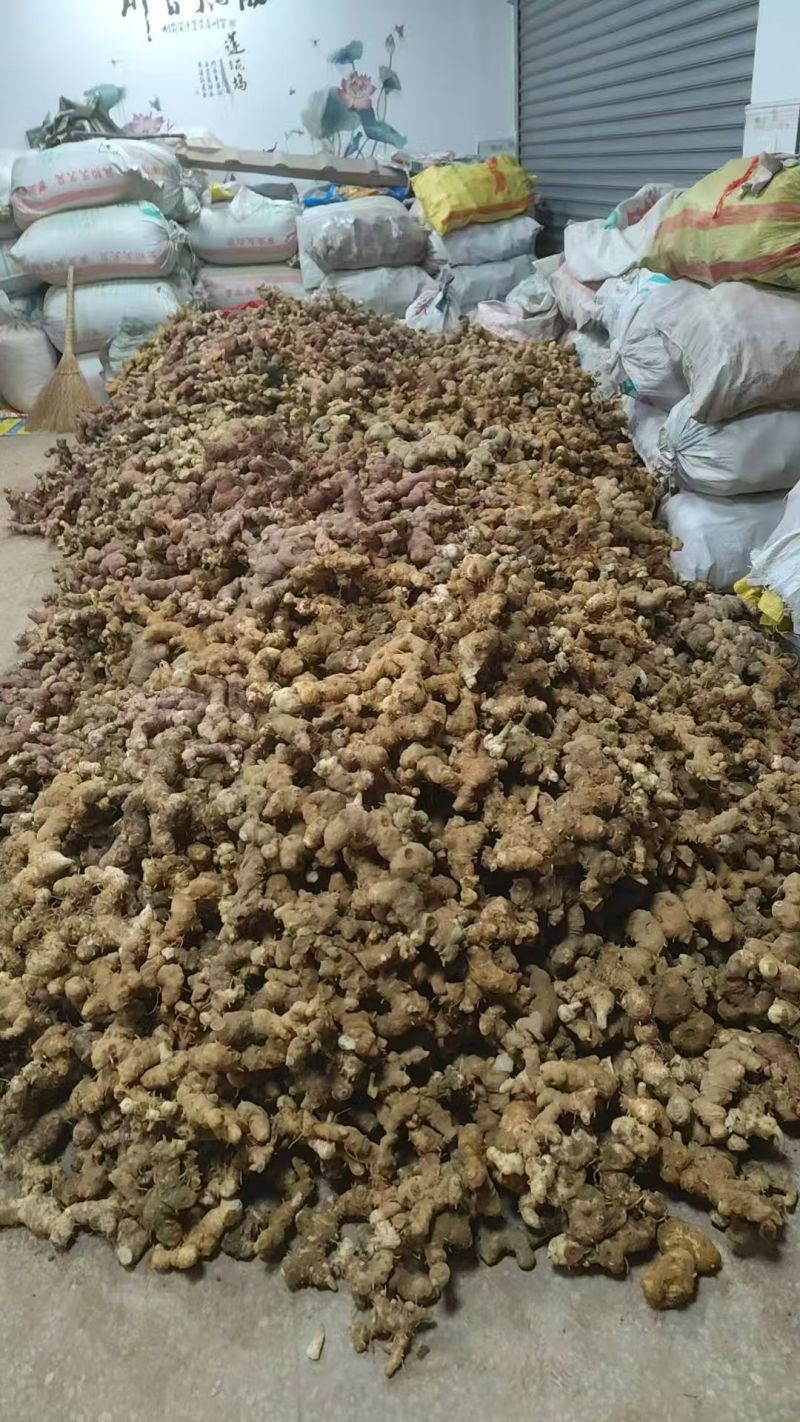 老虎姜，黄精