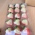 淡雪草莓梦之莹梦之娇各类梦系列黑珍珠均有货