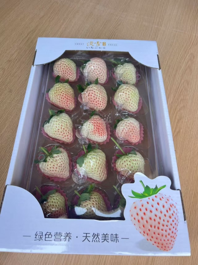 淡雪草莓梦之莹梦之娇各类梦系列黑珍珠均有货
