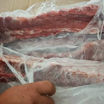 肥猪龙骨