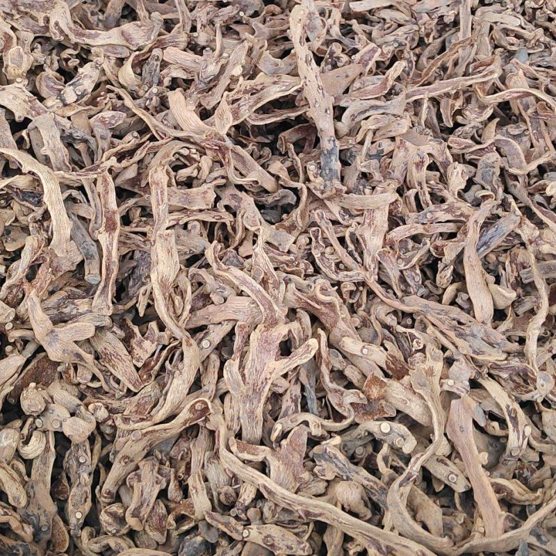 骨碎补干货毛姜