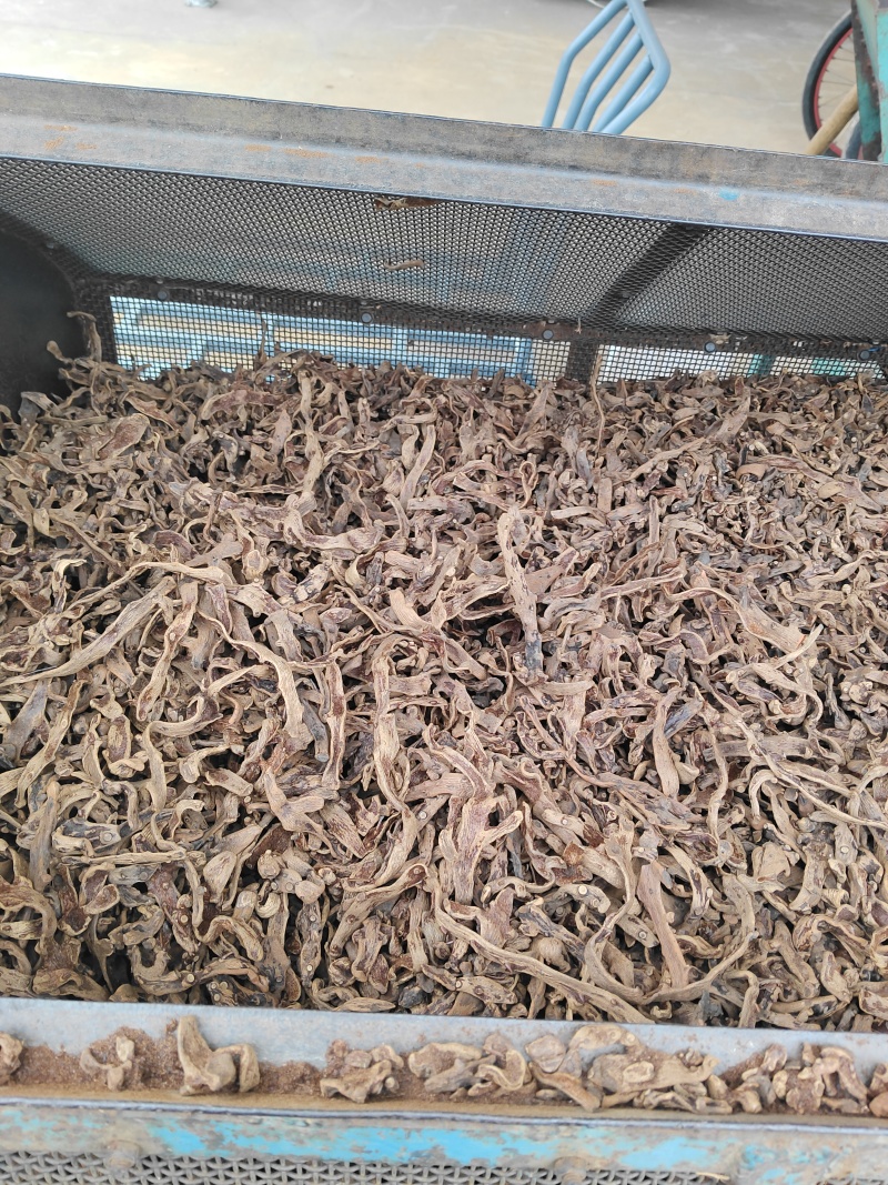 骨碎补干货毛姜