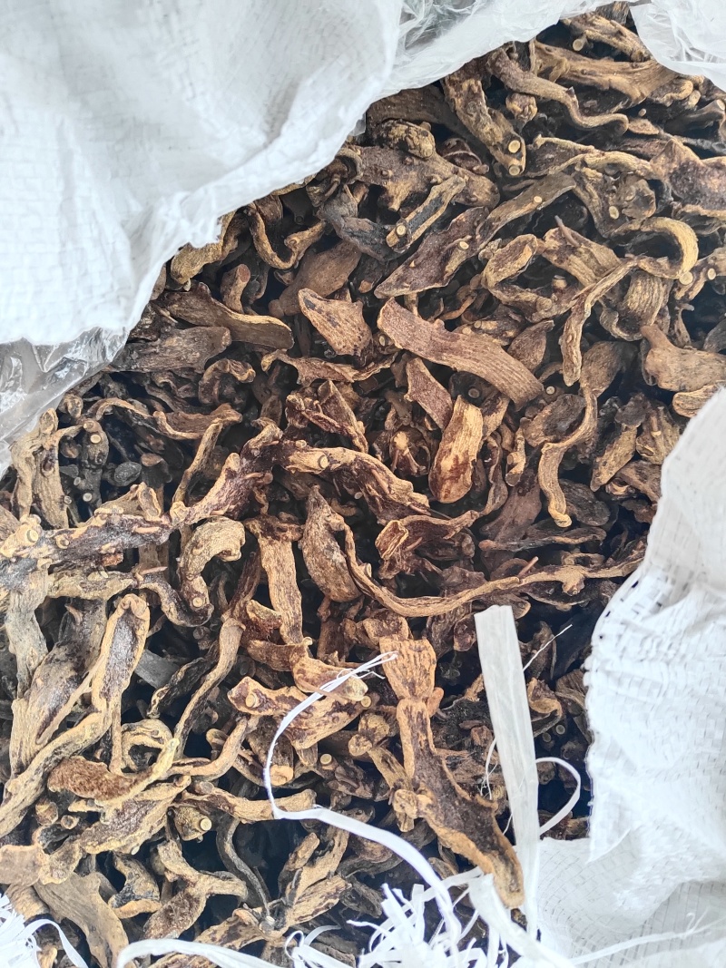 骨碎补干货毛姜