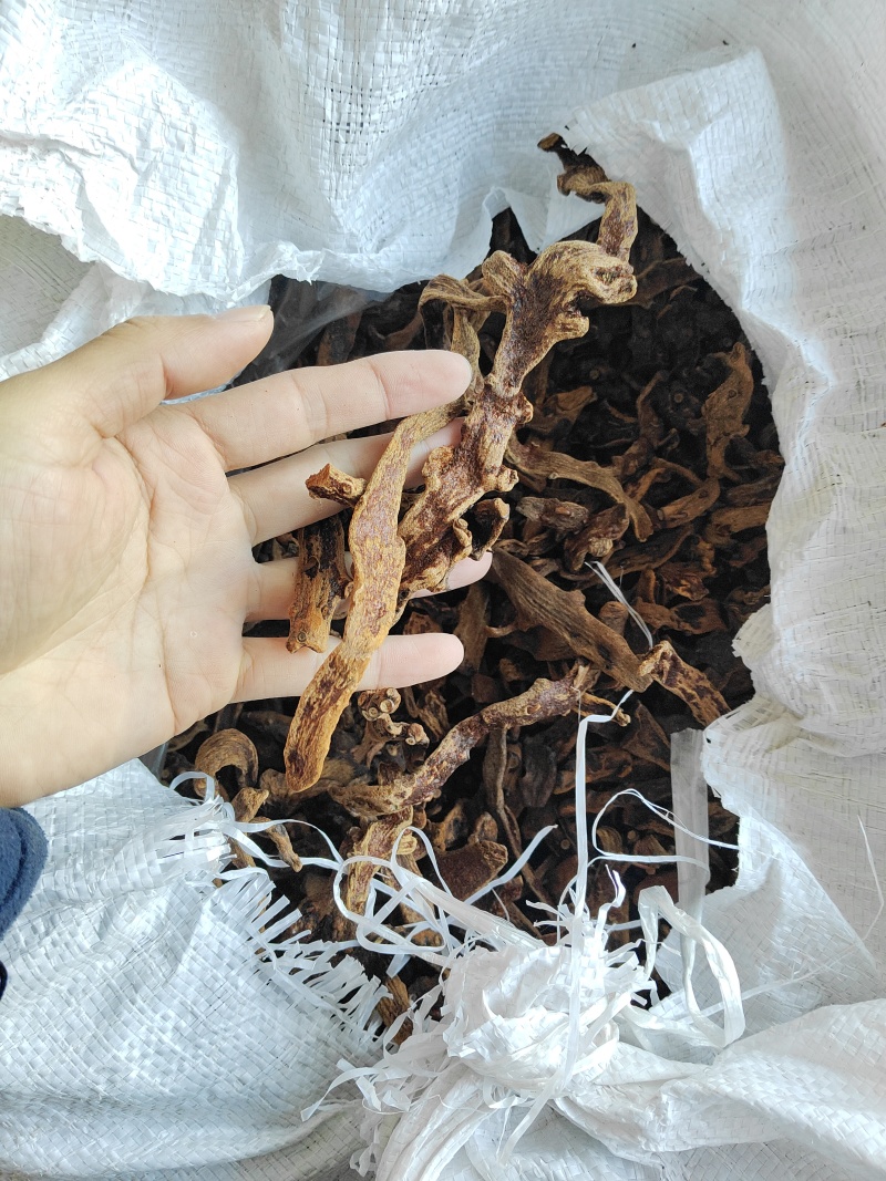 骨碎补干货毛姜