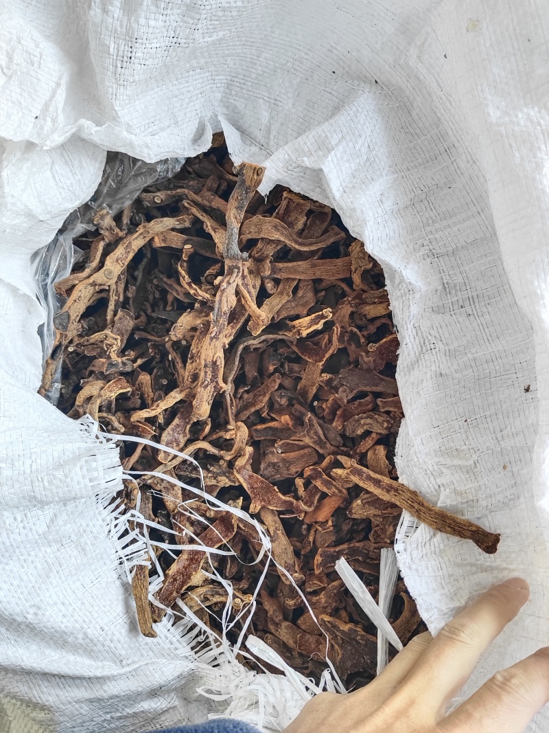 骨碎补干货毛姜