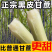《广西甘蔗》黑皮甘蔗/产地直发/大量供应批发