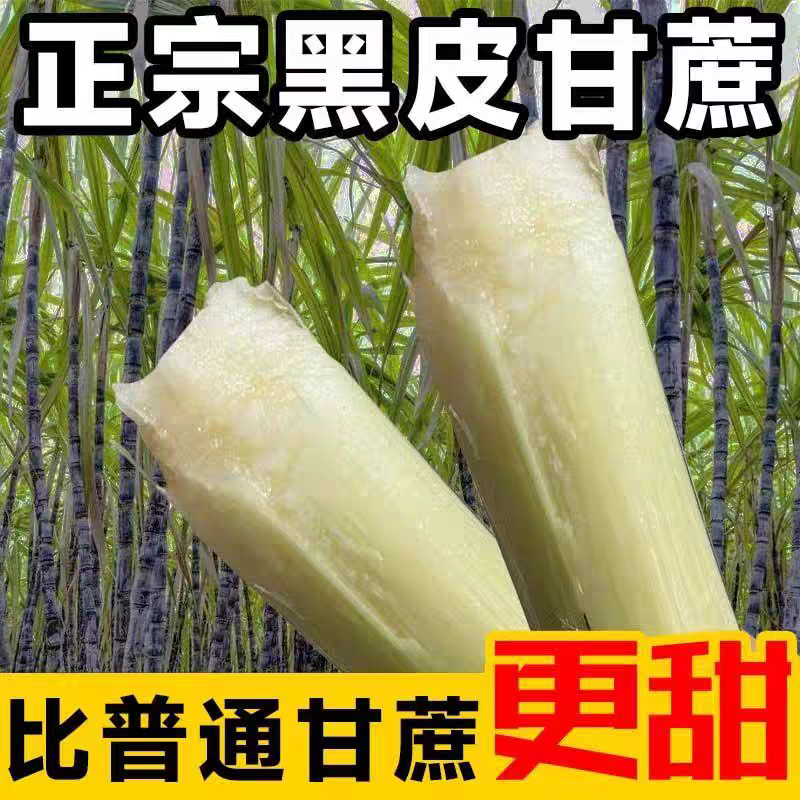 《广西甘蔗》黑皮甘蔗/产地直发/大量供应批发