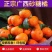 《沙糖桔》广西沙糖桔/产地直发/价格商议/整车批发供应