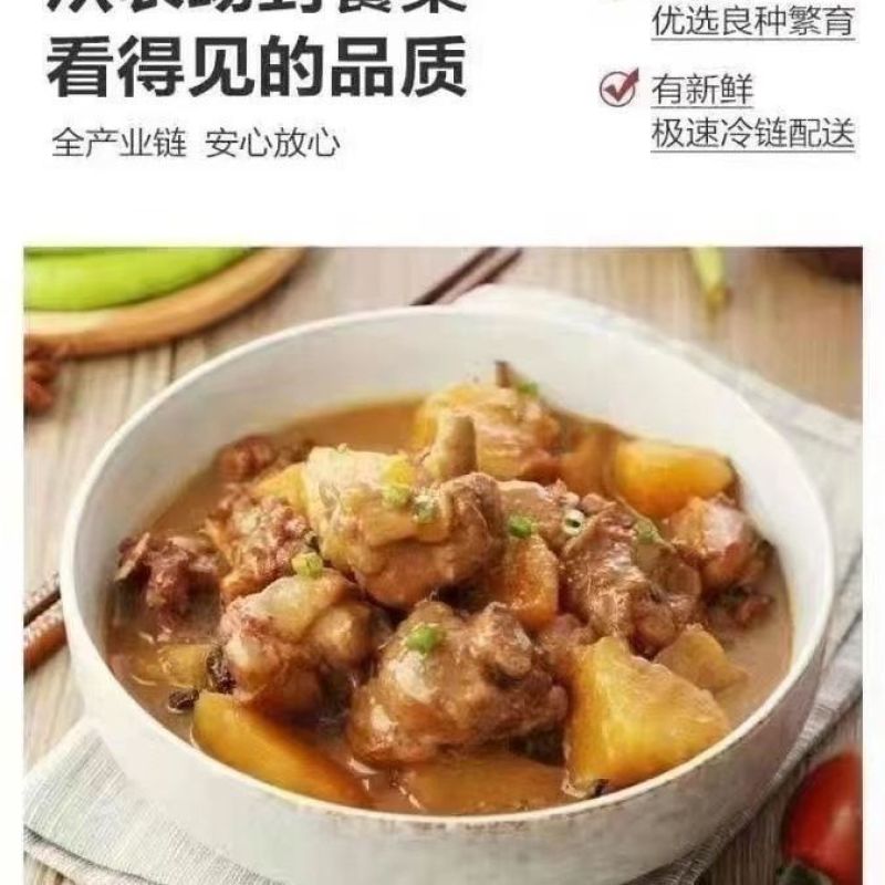 正宗东北农村小笨鸡土鸡农家散养公鸡去内脏走地鸡月子鸡溜达