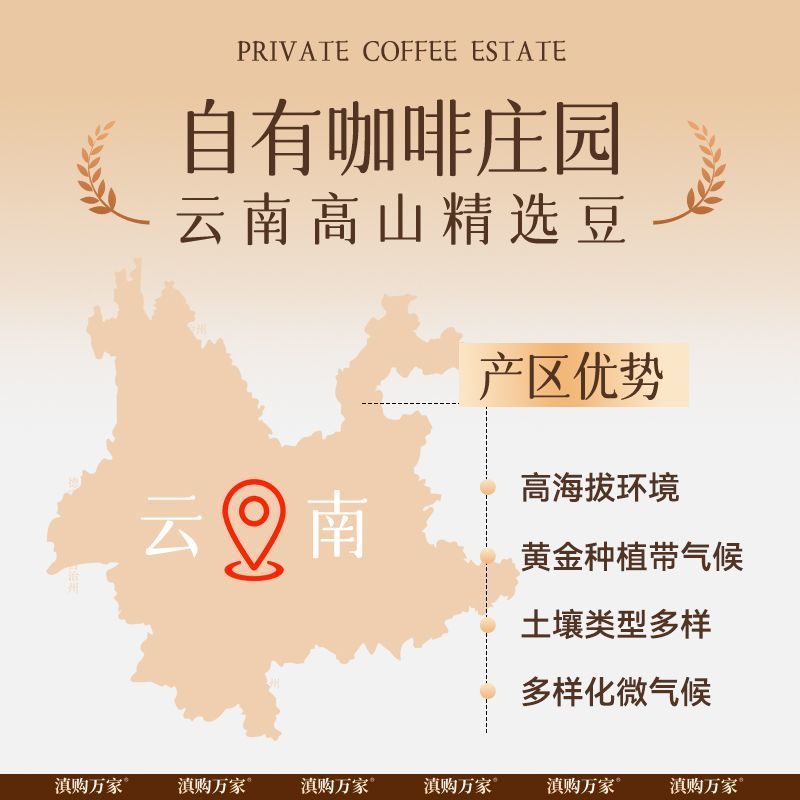 农科院云南小粒咖啡豆新鲜中度烘焙特浓蓝山意式手冲现磨商用