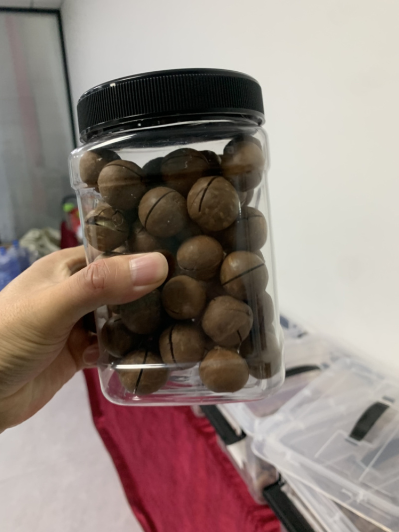 奶香夏威夷果，大颗粒，厂家直发，可批发代发