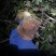散养土鸡，云玉溪高原散养土鸡，可邮寄发货，货源稳定质优。