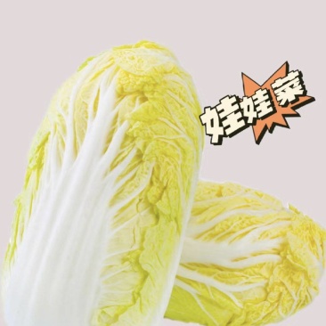 [推荐]精品娃娃菜，货源充足，量大从优，支持视频看货。
