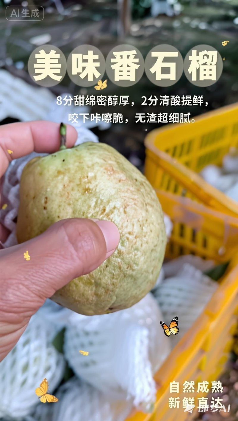 大宗批发芭乐当季鲜果，带箱50斤起批。1000斤