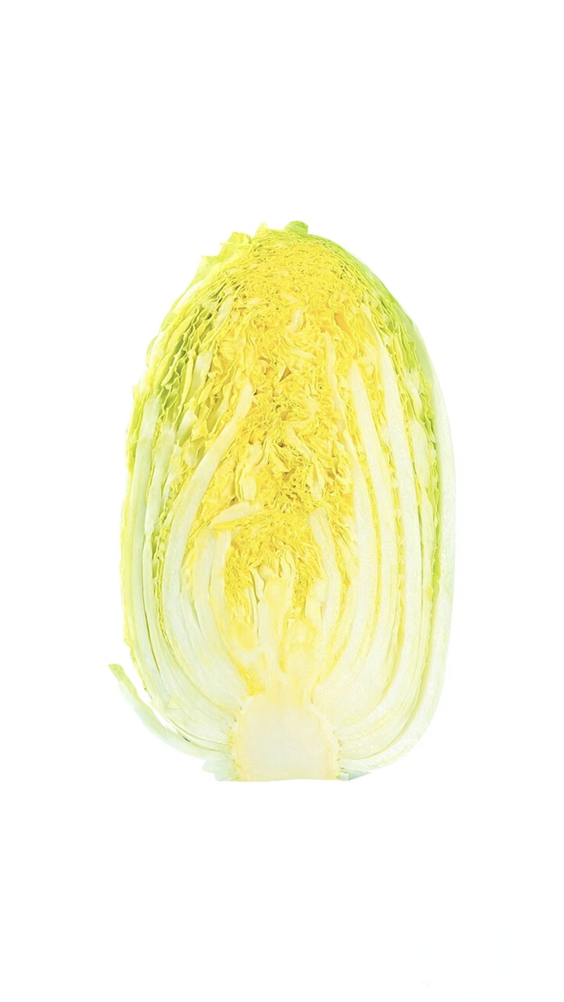 【推荐】江苏东台黄心大白菜，基地直销，量大从优。